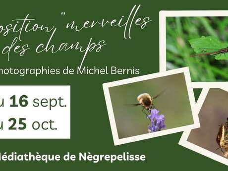 Exposition de photos "merveilles des champs"