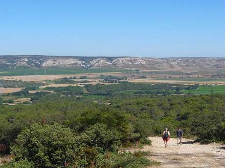 EYGUIERES - The Défends massif in Eyguières