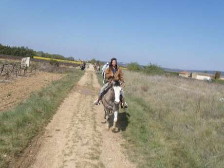 Balades à cheval