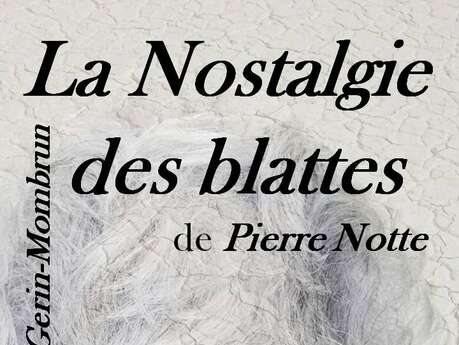 Théâtre : La nostalgie des blattes de Pierre Notte