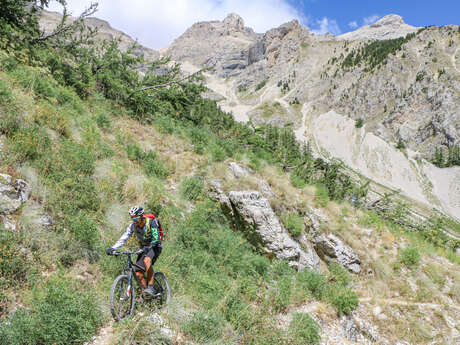 N°33 (Rouge) - Les Sauvas