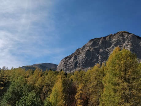 Parcours trail Les crêtes n°7