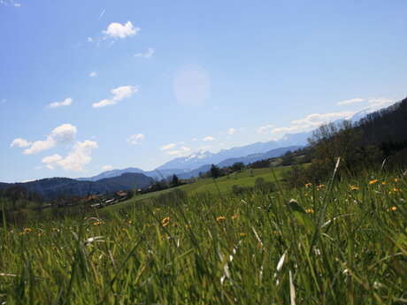 Sortie nature : Les coulisses du Marais de la Crusille