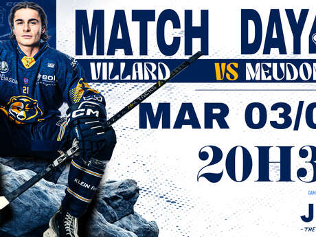 Match de hockey sur glace - D1