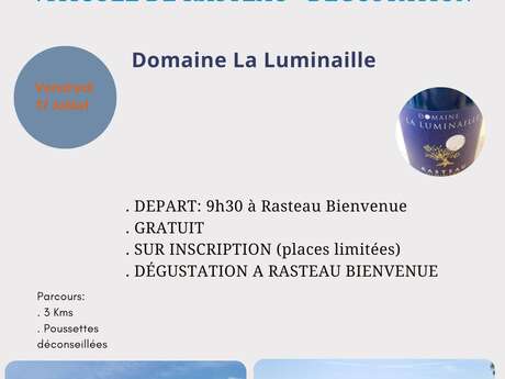 Visite accompagnée - sentier viticole & panoramique