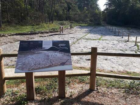 Sur les chemins des dinosaures avec l'AGEK
