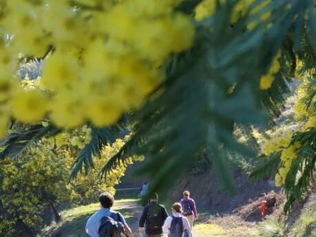 Balade nature avec Denis HUIN