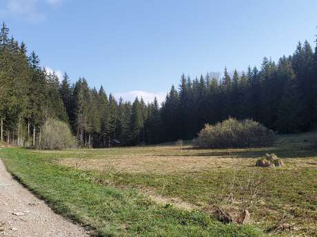 La borne des 3 cantons - Parcours de trail n°20