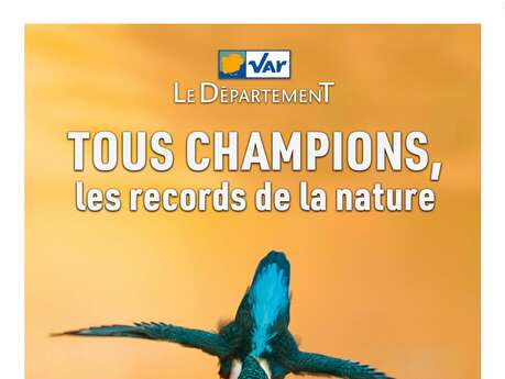 Visite commentée au Muséum « Les champions de l'adaptation ! »