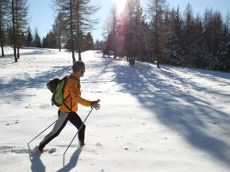 Marche nordique - Accompagnateurs en montagne du Champsaur