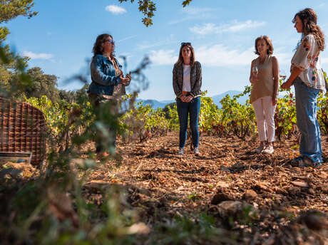 Sophrologie dans les vignes