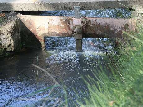 Conference “Istres Along the Water, in the Footsteps of Adam de Craponne”