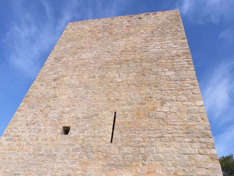 Le Défens de la Tour