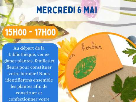 Création d'un herbier