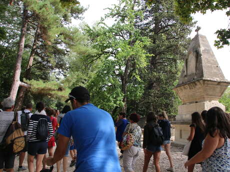 Visite flash des Alyscamps