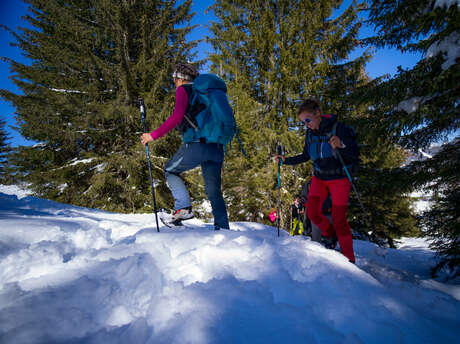 Winter wonderland (from Bisanne 1500)