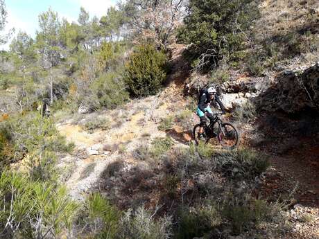 VTT n°24 - Entre Sainte-Tulle et Corbières