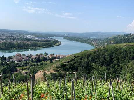 Boucle cyclable P3 : Vérin - Sainte-Croix-En-Jarez