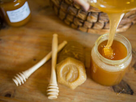 Atelier à la découverte du monde des abeilles