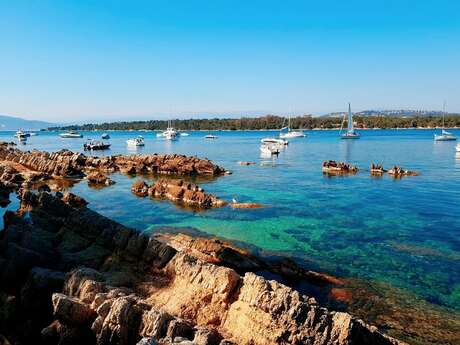 Iles de Lérins "Ile Saint Honorat" by Sea You Sun