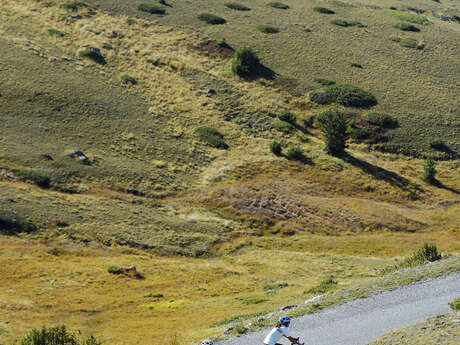 Passes reserved for cyclists 2025- Col du Granon