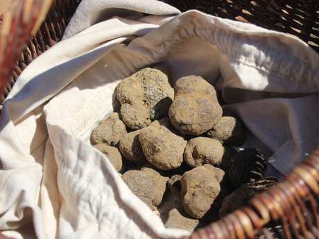 Les week-ends truffés en Luberon