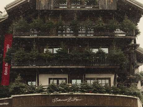 Hôtel Saint-Georges Relais & Châteaux