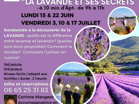 Randonnée La Lavande et ses secrets