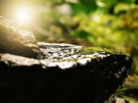 Relaxation en pleine nature - Les Ateliers d'Evyoute