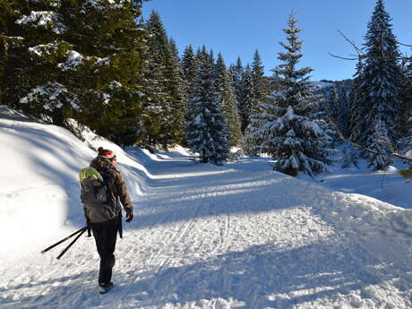 Schneeschuh-Route : Verbindung Les Saisies