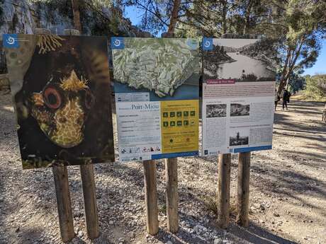Randonnée vers la Calanque d'En-Vau en passant par Port-Pin