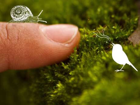 Sentir et toucher le vivant au Bout du Lac l Renc'Arts du Parc