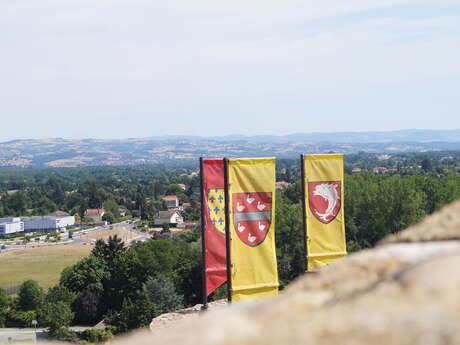 Vue sur la plaine du Forez, du château