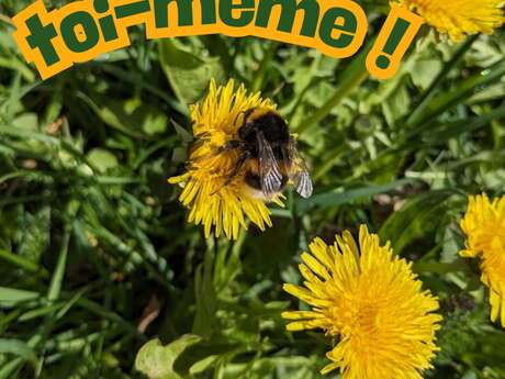 Les Ateliers des Babets : Pollen toi-même !