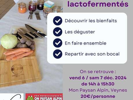 Atelier légumes lactofermentés - digestion et immunité