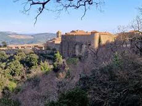 Randonnée à Collobrières