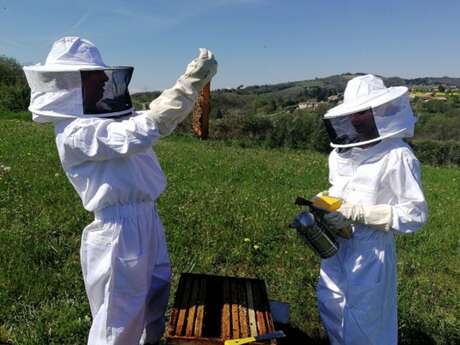 Séjour 2 jours - Apiculture