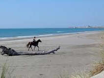 Plage Napoleon