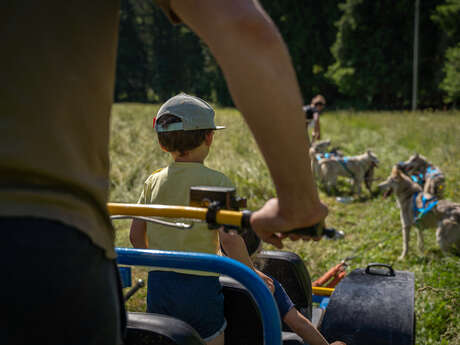 Mushing'EXPERIENCE