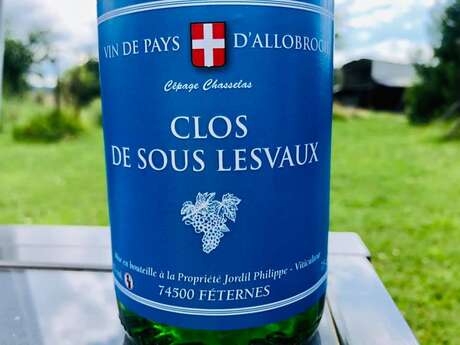 Vin de Féternes - Clos de sous Lesvaux