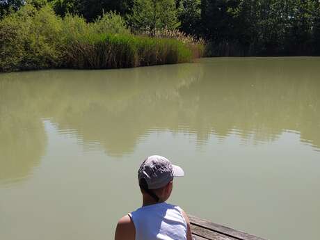 Etang de Colovrex, ENS de l'Ain