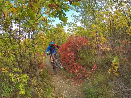 Mountainbike n°20 - Auf den Höhen von Manosque
