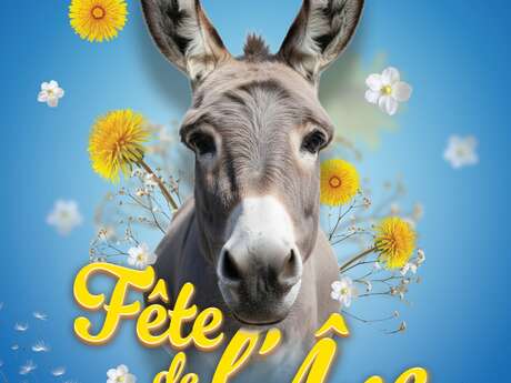 Donkey Festival