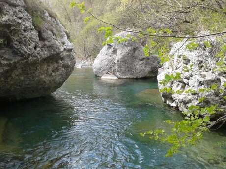 Bendola-Tal