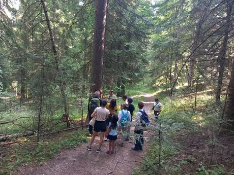 Découvrez la forêt de Boscodon et devenez technicien forestier
