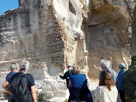 Visites Guidées du Jardin et du château des Baux de Provence