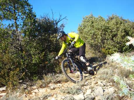 VTT n°53 - Travignon par Le Cluyer