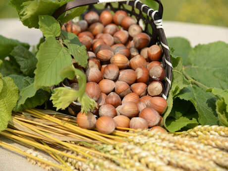 Fête de la noisette et des saveurs d'automne - 18ème édition