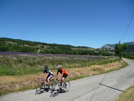 Route des Princes d'Orange à vélo (N°10)