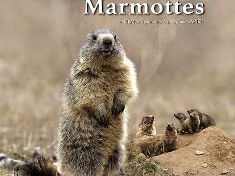 Projection film LE CLAN DES MARMOTTES